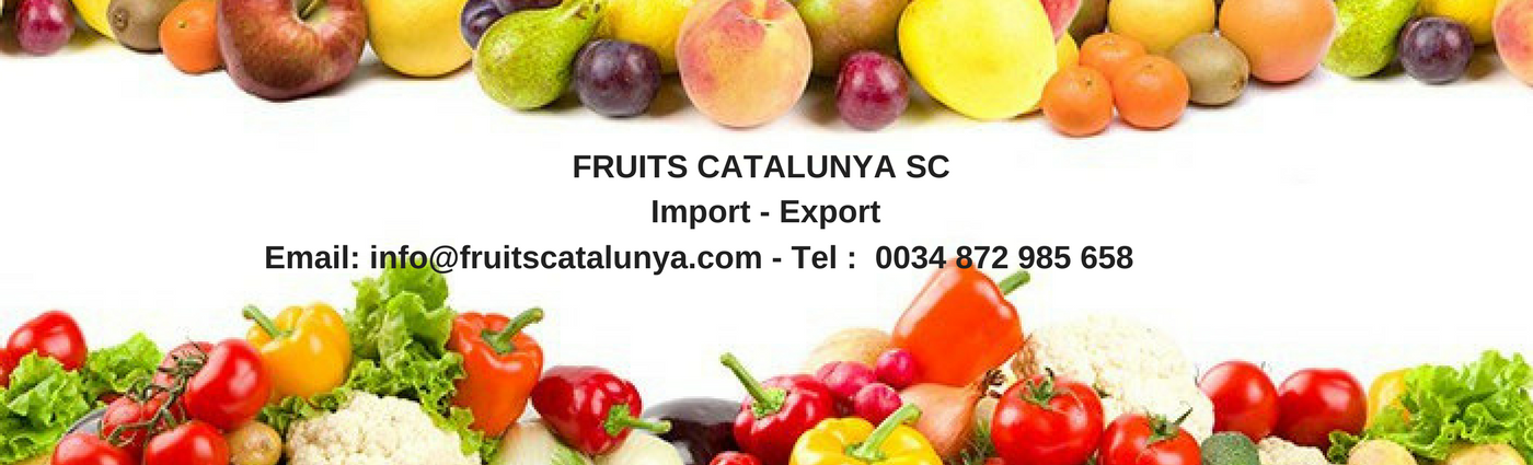 Logo - FRUITS CATALUNYA SC